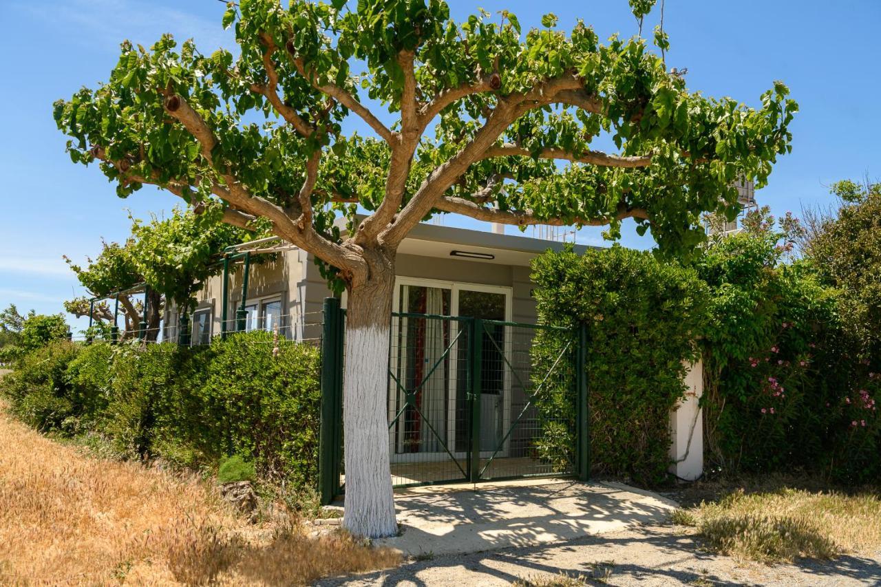 הוילה קלמאקי Petrakis Afrathias Garden House מראה חיצוני תמונה